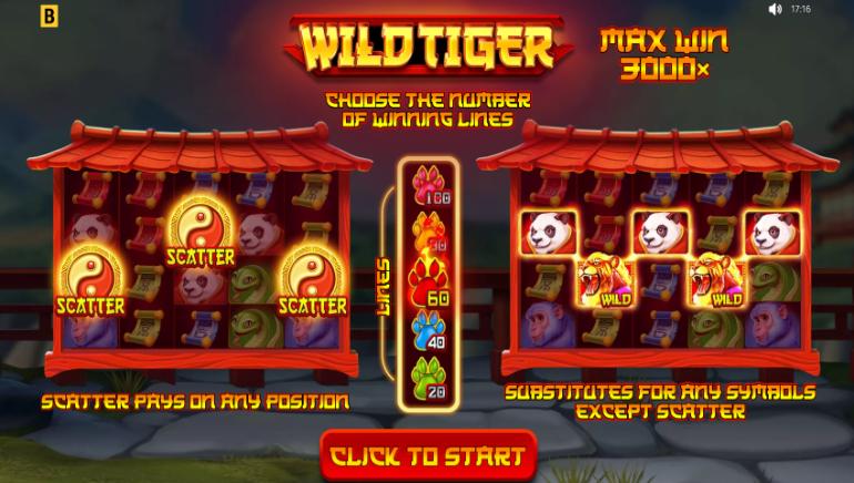 Wild Tiger Slot Features